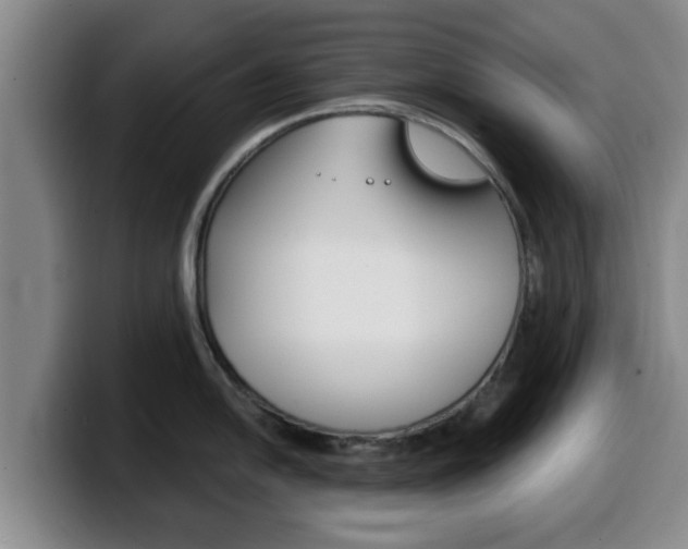 X0000100321054200806051346