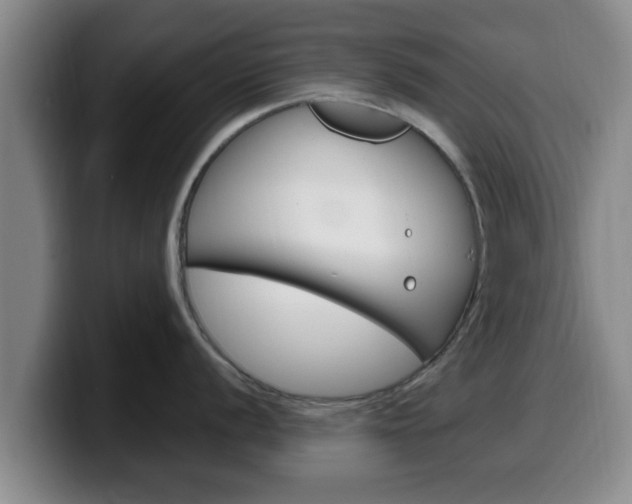 X0000100321056200806051346