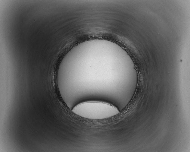 X0000100321060200806051345