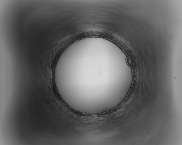 X0000100321061200806051345
