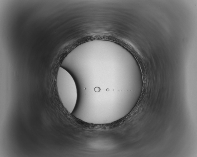 X0000100321063200806051345