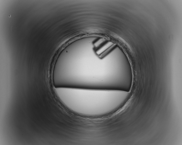 X0000100321065200806051345