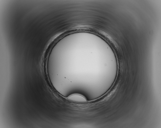 X0000100321066200806051345