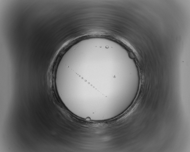 X0000100321067200806051345