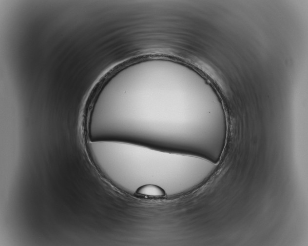 X0000100321068200806051345