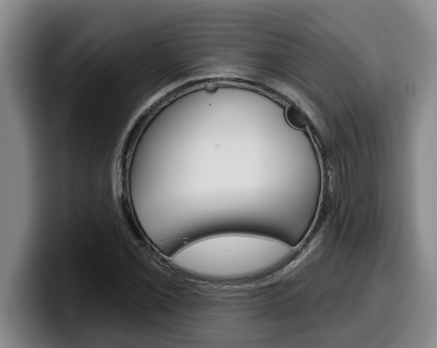 X0000100321069200806051345
