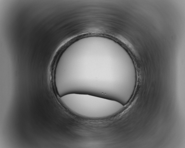 X0000100321070200806051345