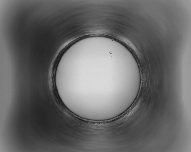 X0000100321071200806051345