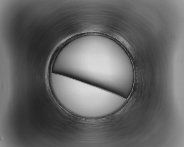X0000100321072200806051345