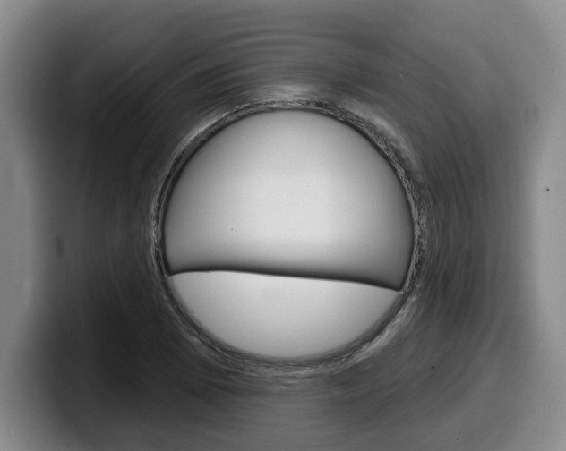 X0000100321073200806051345