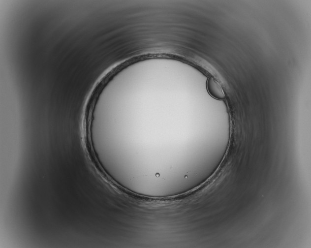 X0000100321076200806051345