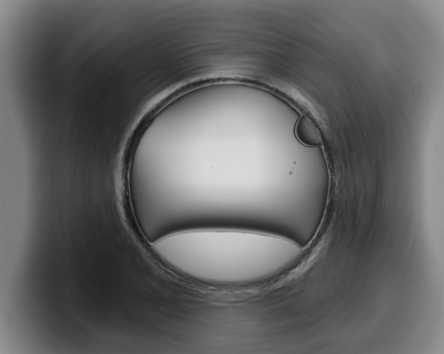 X0000100321077200806051345