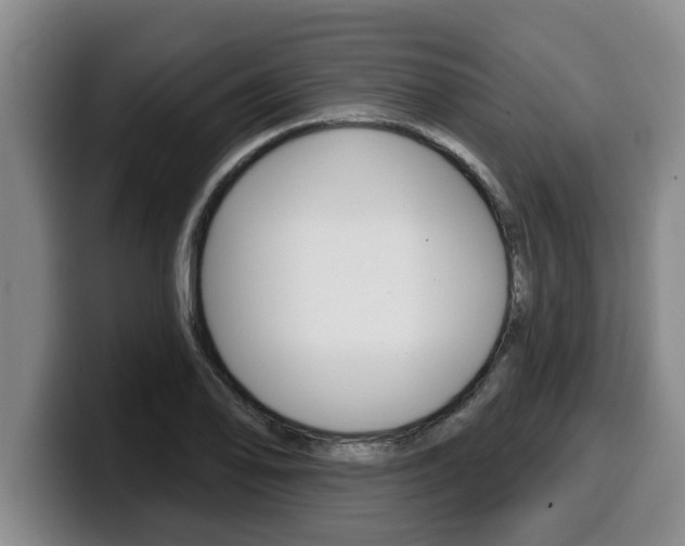 X0000100321078200806051345