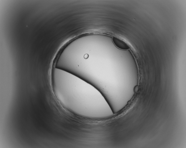 X0000100321079200806051345