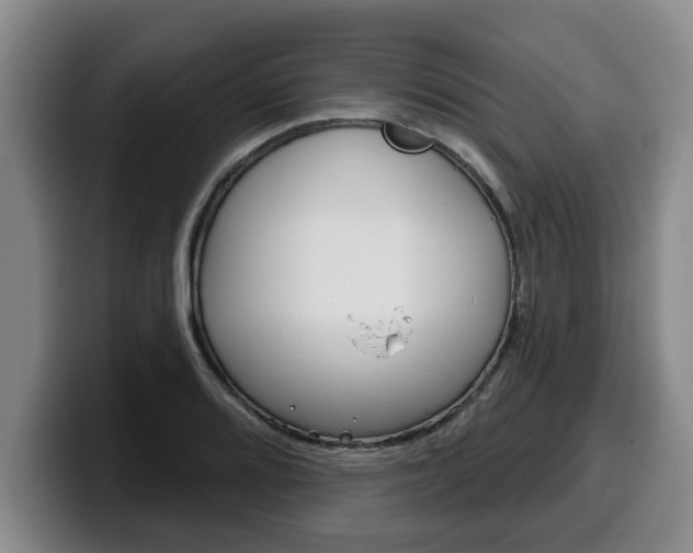 X0000100321080200806051345