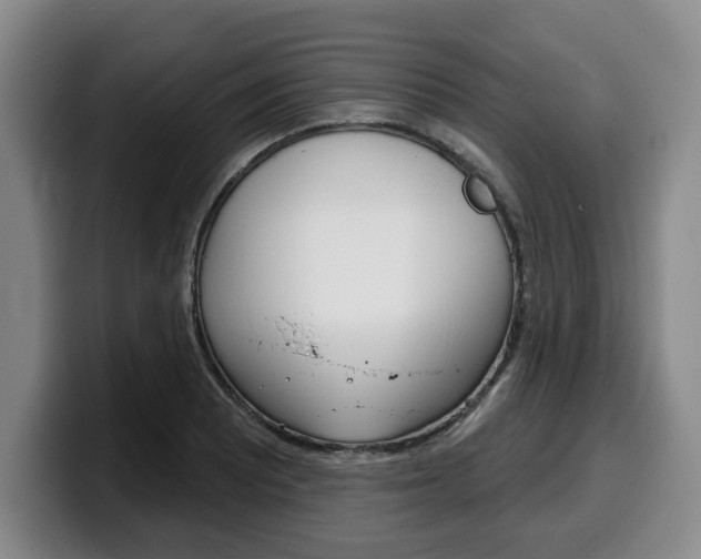X0000100321081200806051345
