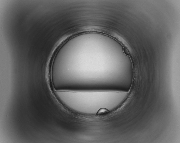 X0000100321082200806051345