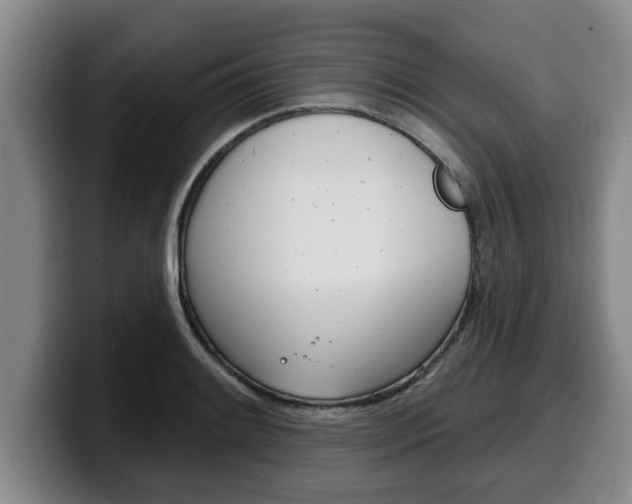 X0000100321084200806051345