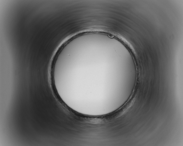 X0000100321085200806051345