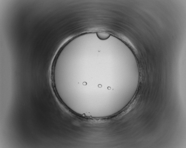 X0000100321087200806051345