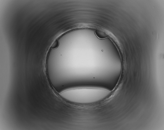 X0000100321089200806051345