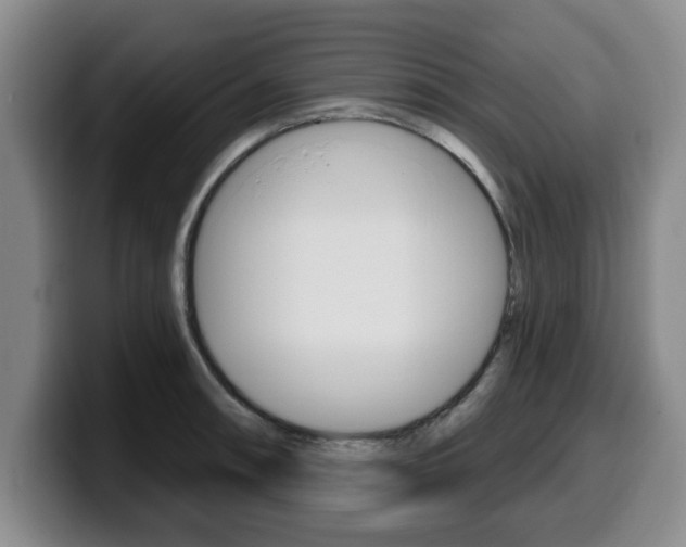 X0000100321090200806051345
