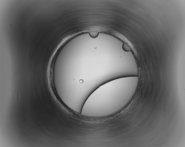 X0000100321091200806051345