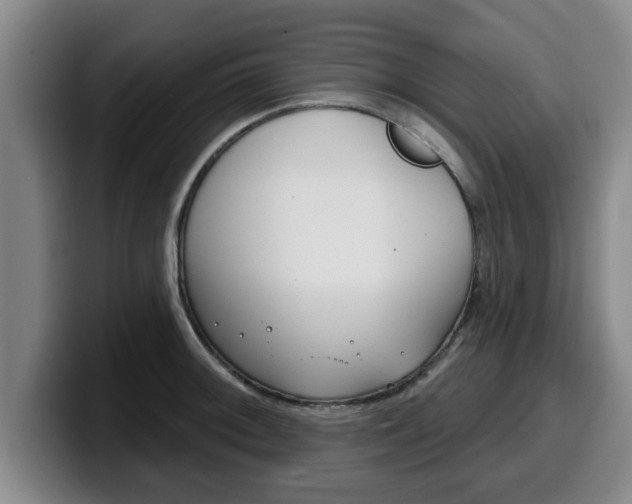 X0000100321092200806051345