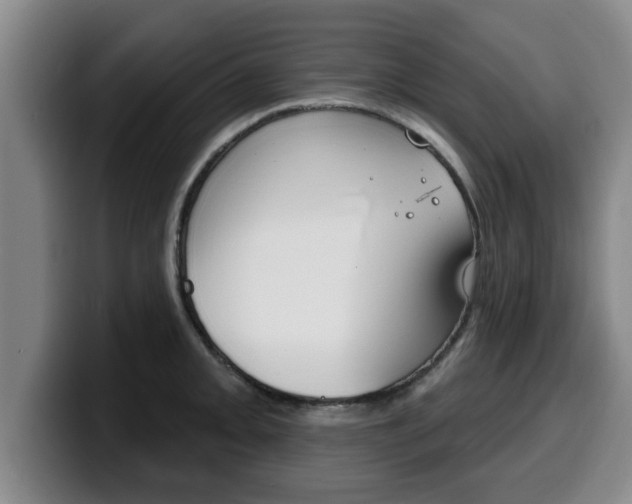 X0000100321093200806051345