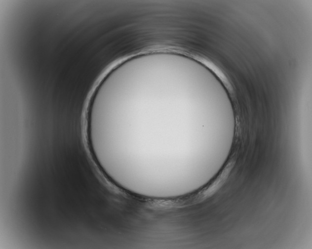 X0000100321094200806051345