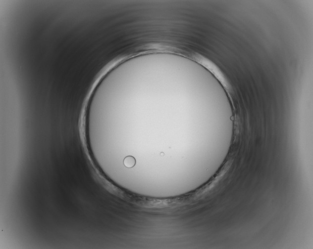 X0000100321098200806051344
