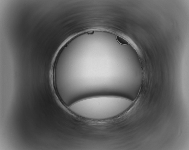 X0000100321100200806051344