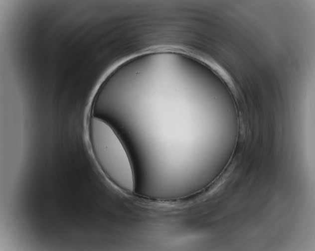 X0000100321102200806051344