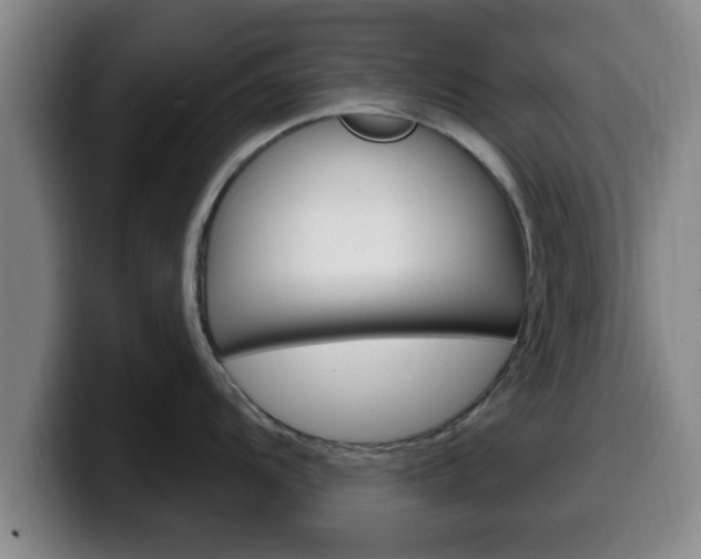 X0000100321104200806051344