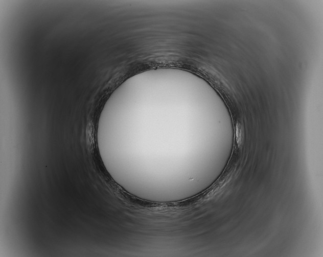 X0000100321107200806051344