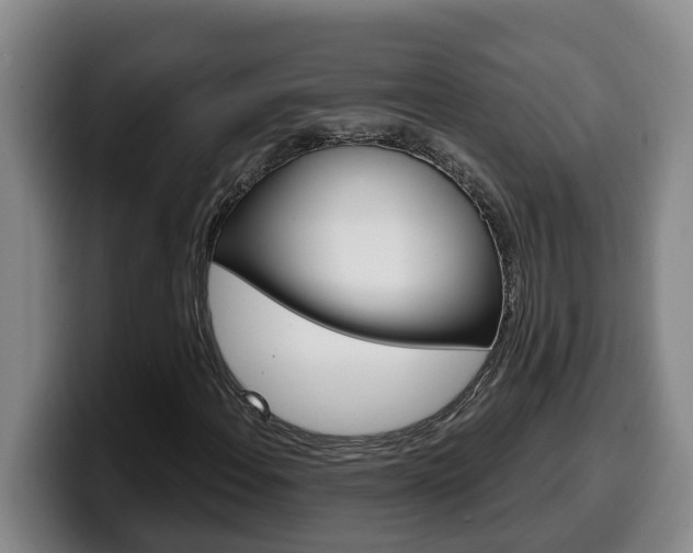 X0000100321108200806051344