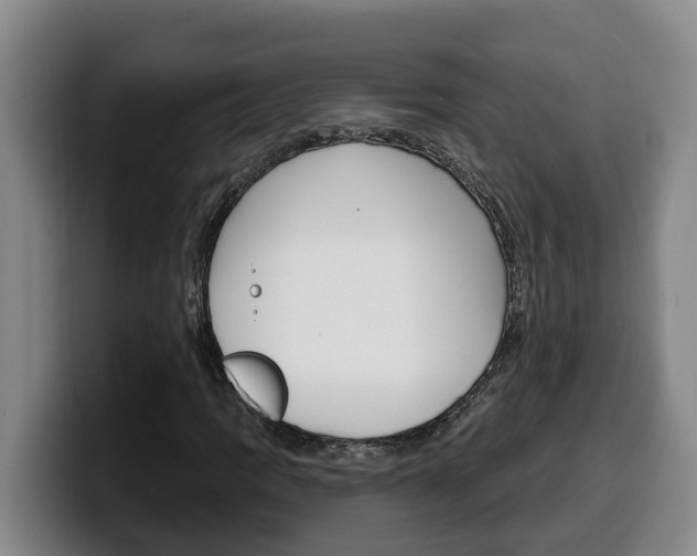 X0000100321109200806051344