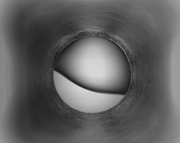 X0000100321110200806051344