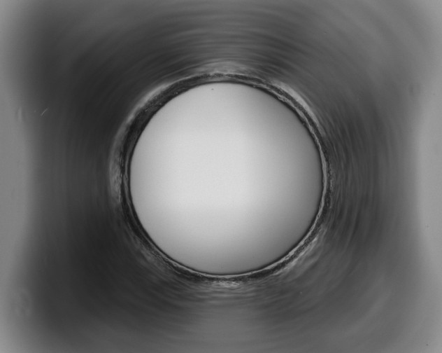X0000100321115200806051344
