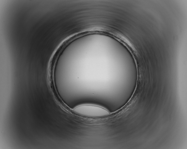 X0000100321116200806051344