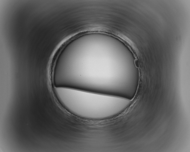 X0000100321120200806051344