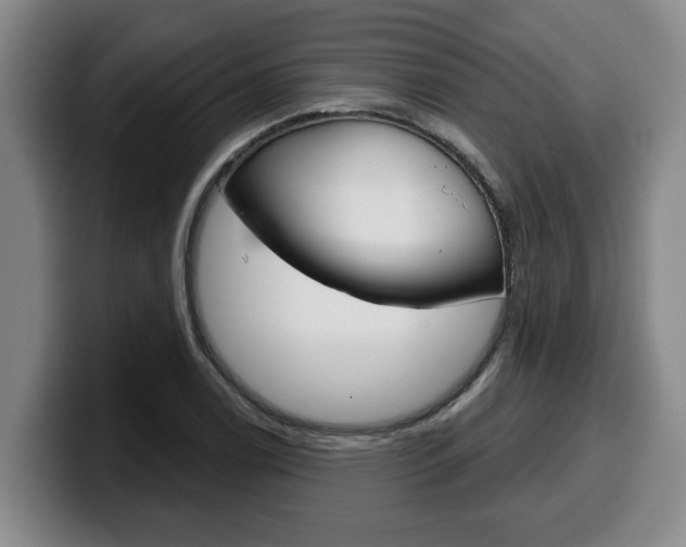 X0000100321122200806051344