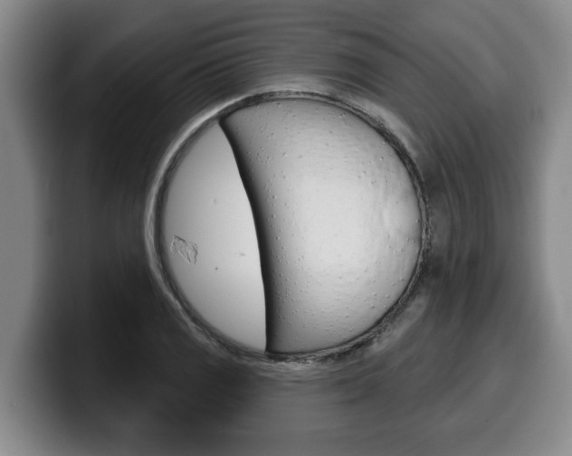 X0000100321125200806051344