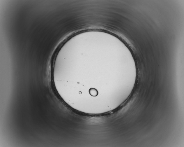 X0000100321126200806051344