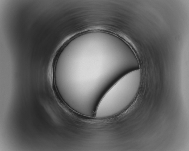 X0000100321127200806051344