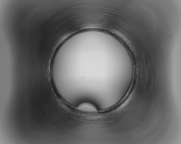 X0000100321129200806051344