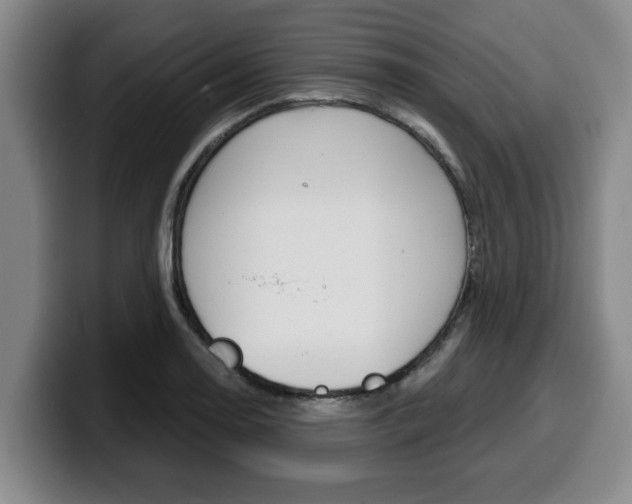 X0000100321130200806051344