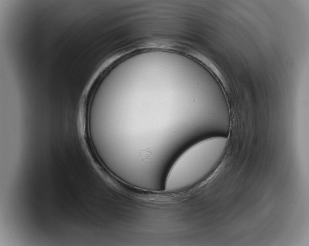 X0000100321131200806051344