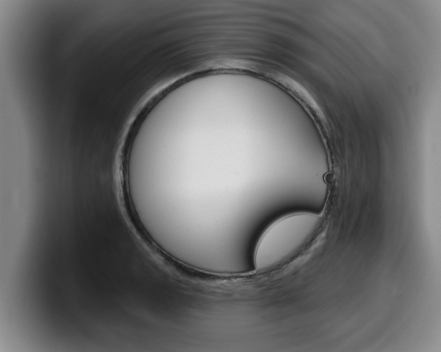 X0000100321133200806051344
