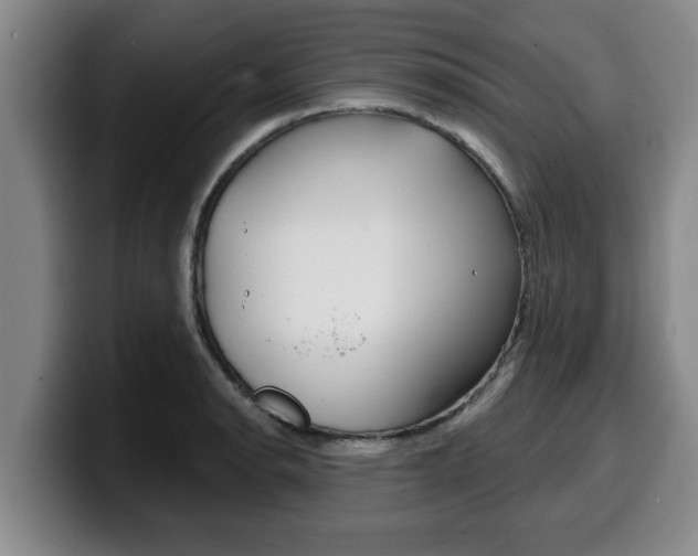 X0000100321134200806051344